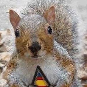 Meet your Posher, Ellen